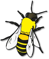 bee