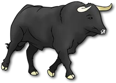 bull
