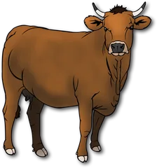 cow