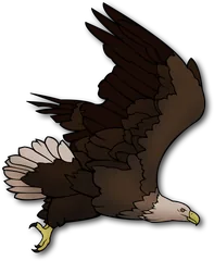 eagle
