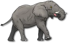elephant