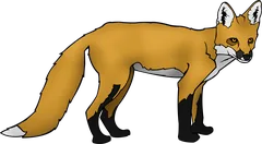 fox