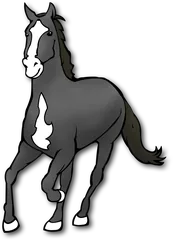 horse