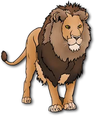 lion