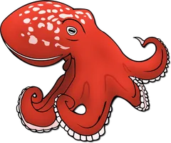 octopus