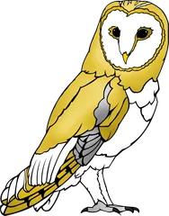 owl