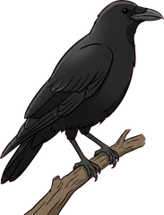 raven