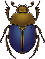 scarab beetle