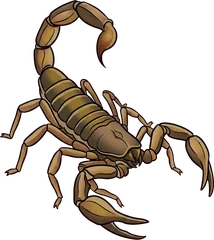 scorpion