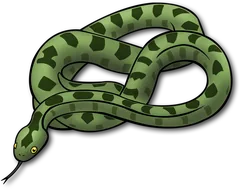 snake