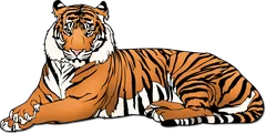 tiger