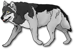 wolf