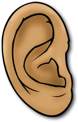 ear