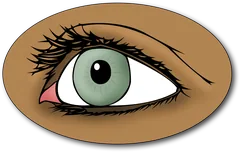 eye