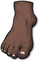 foot
