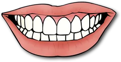 mouth