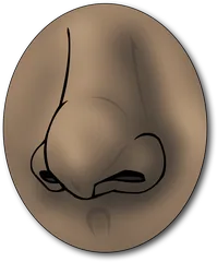 nose