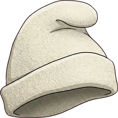 felt cap