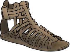 sandal