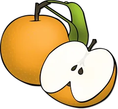Asian pear