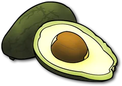 avocado