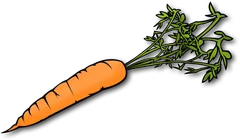 carrot