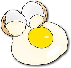 egg