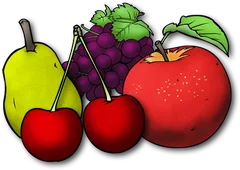 fruit