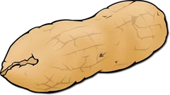 peanut