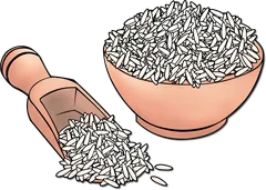 rice