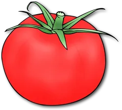 tomato