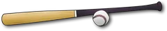 baseball bat