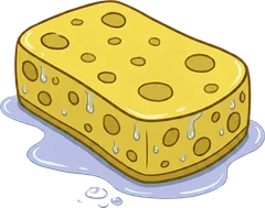 sponge