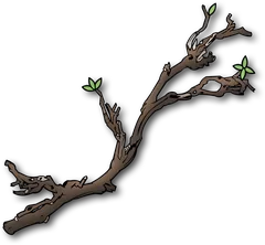 branch